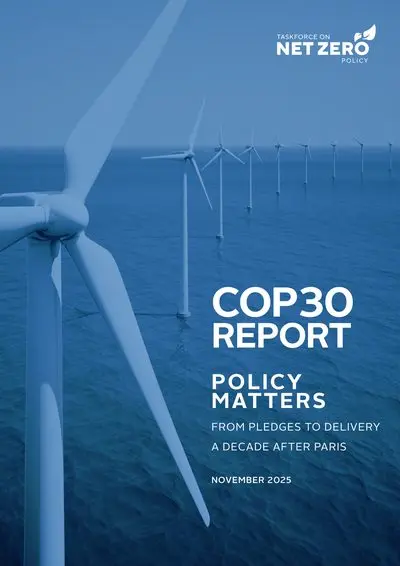 COP 30 Report
