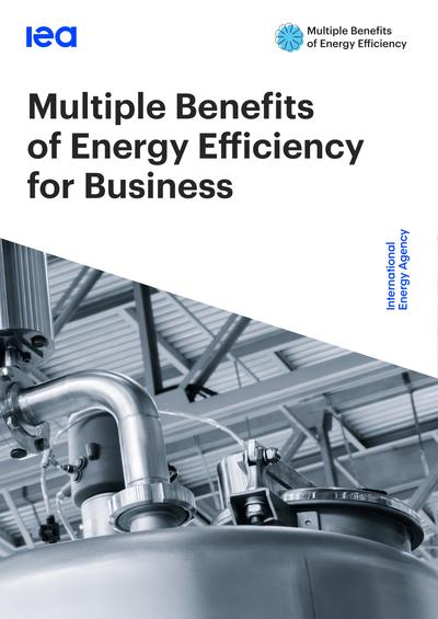 Eficiencia Energética en la industria y pymes 47 MultipleBenefitsofEnergyEfficiencyforBusiness